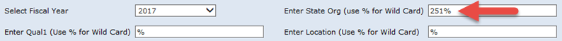 SQL Wildcard Parameters 